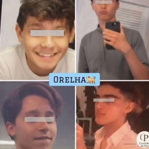 ASSASSINOS DO CÃO ORELHA, TENTARAM AFOGAR NO MAR OUTRO ANIMAL, RELATA POLICIA CIVIL.