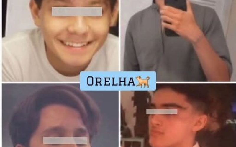 ASSASSINOS DO CÃO ORELHA, TENTARAM AFOGAR NO MAR OUTRO ANIMAL, RELATA POLICIA CIVIL.
