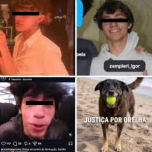 DOIS DOS QUATRO MONSTROS QUE MATARAM O CÃO ORELHA PODERÃO SER EXPULSOS DOS EUA.