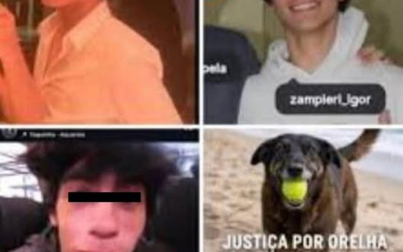 DOIS DOS QUATRO MONSTROS QUE MATARAM O CÃO ORELHA PODERÃO SER EXPULSOS DOS EUA.