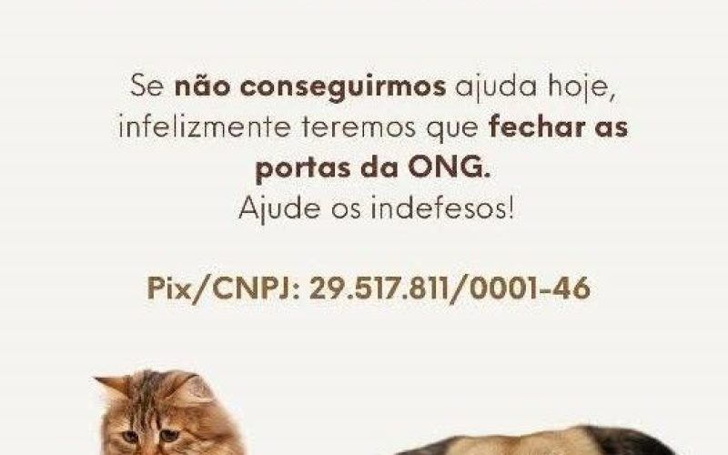 ONG INDEFESOS ESTÁ PRECISANDO DE SUA AJUDA