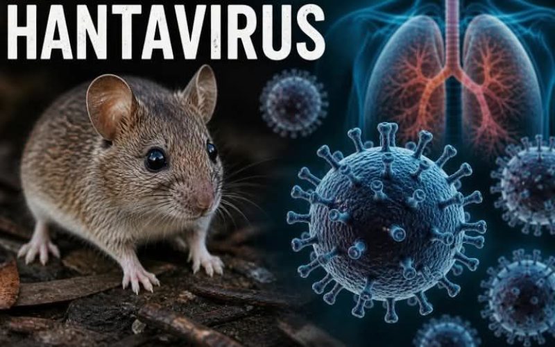 BRASIL JÁ TEVE DOIS ÓBITOS POR HANTAVÍRUS