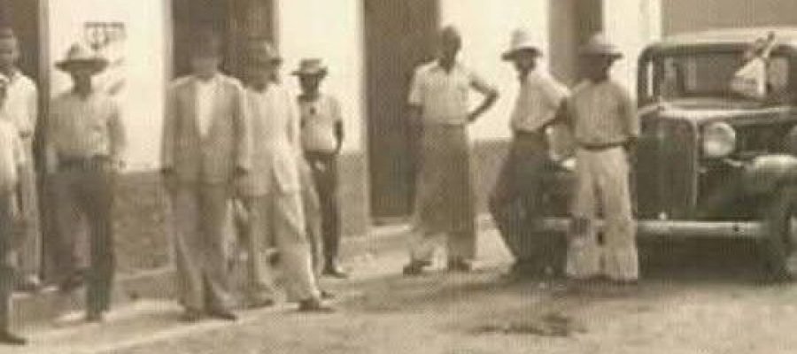 COLUNA RECORDAR É VIVER