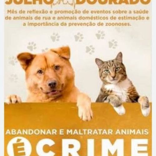 CAMPANHA JULHO DOURADO PELO BEM ESTAR DOS ANIMAIS CRESCE NO BRASIL.