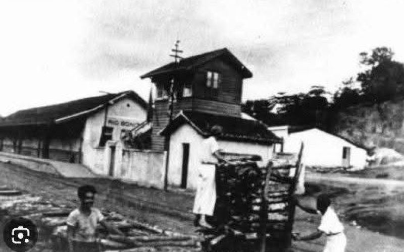 COLUNA RECORDAR É VIVER